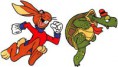 The hare and the turtle