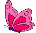 LA LECCIÓN DE LA MARIPOSA